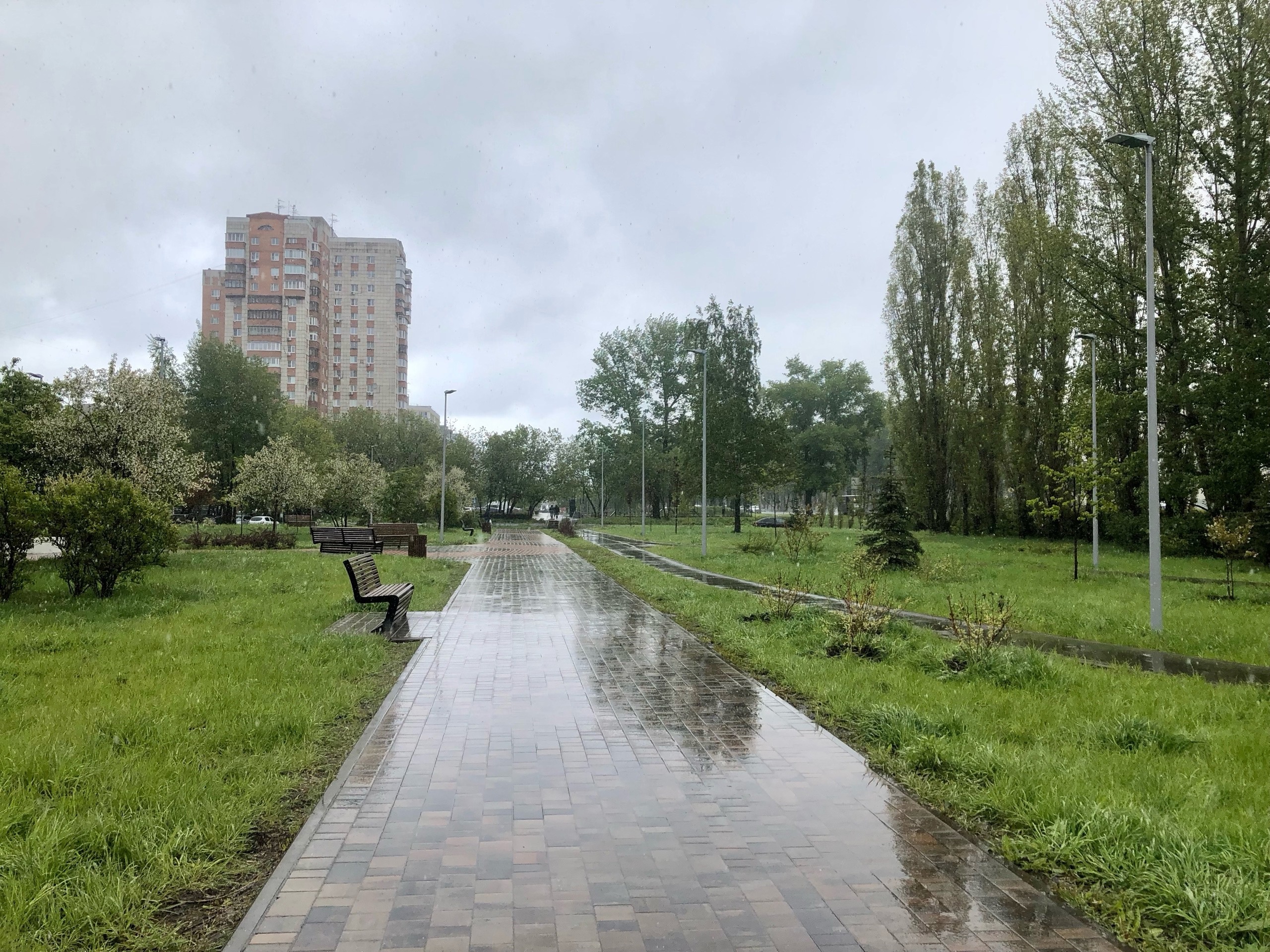 Грозы и +26: погода в выходной введет нижегородцев в недоумение