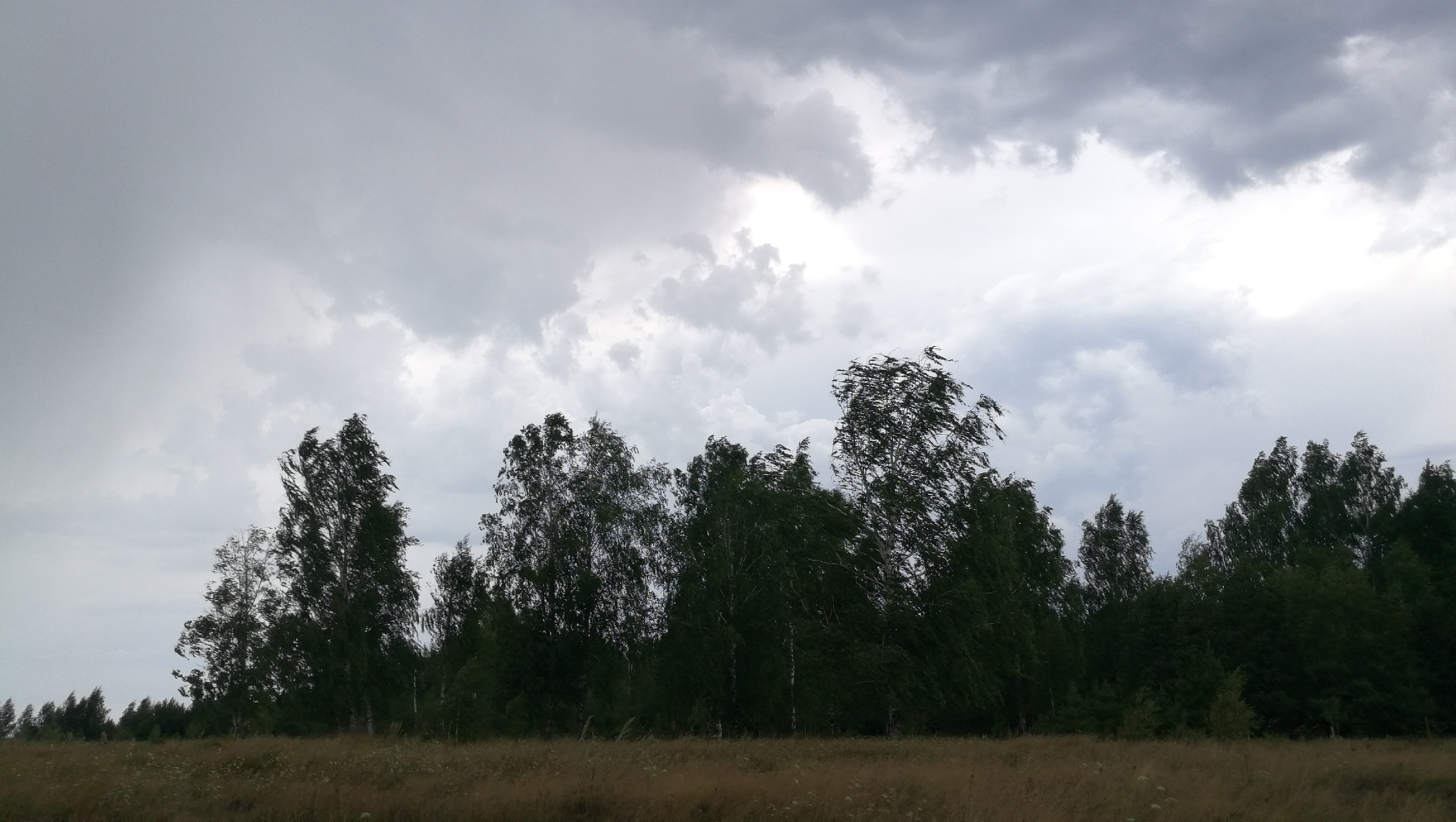 Дожди и грозы не покинут Нижегородскую область: прогноз погоды на завтра