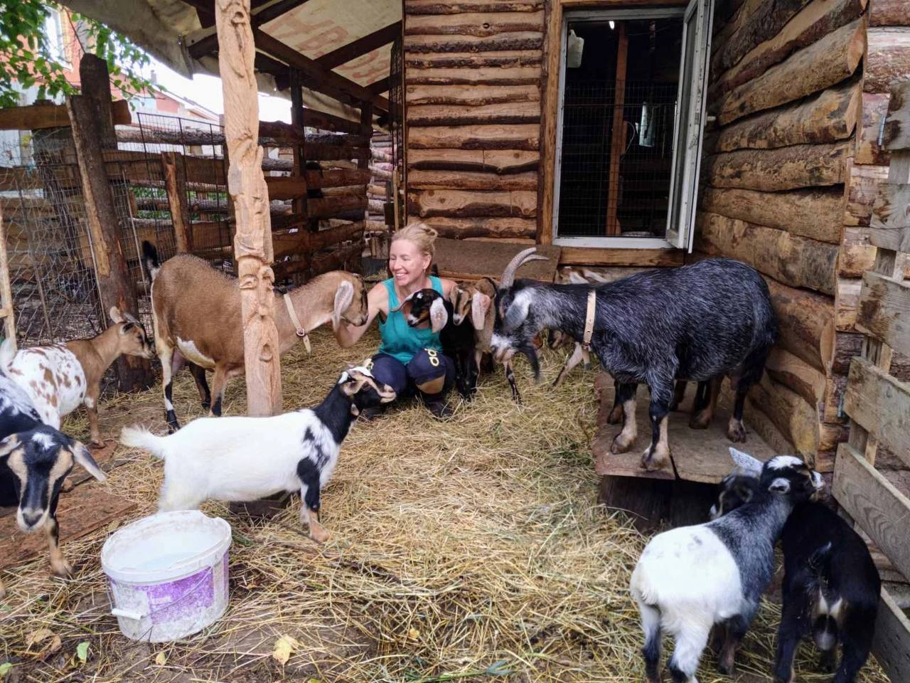 Семья Чижовых из Балахнинского округа смогла расширить свое фермерское хозяйство
