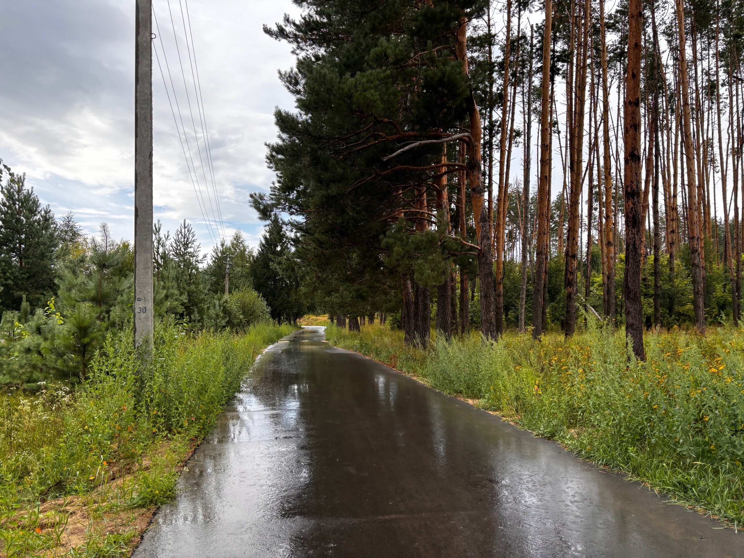 Вместо пляжного зонтика обычный: в Нижегородской области ожидается пасмурный выходной