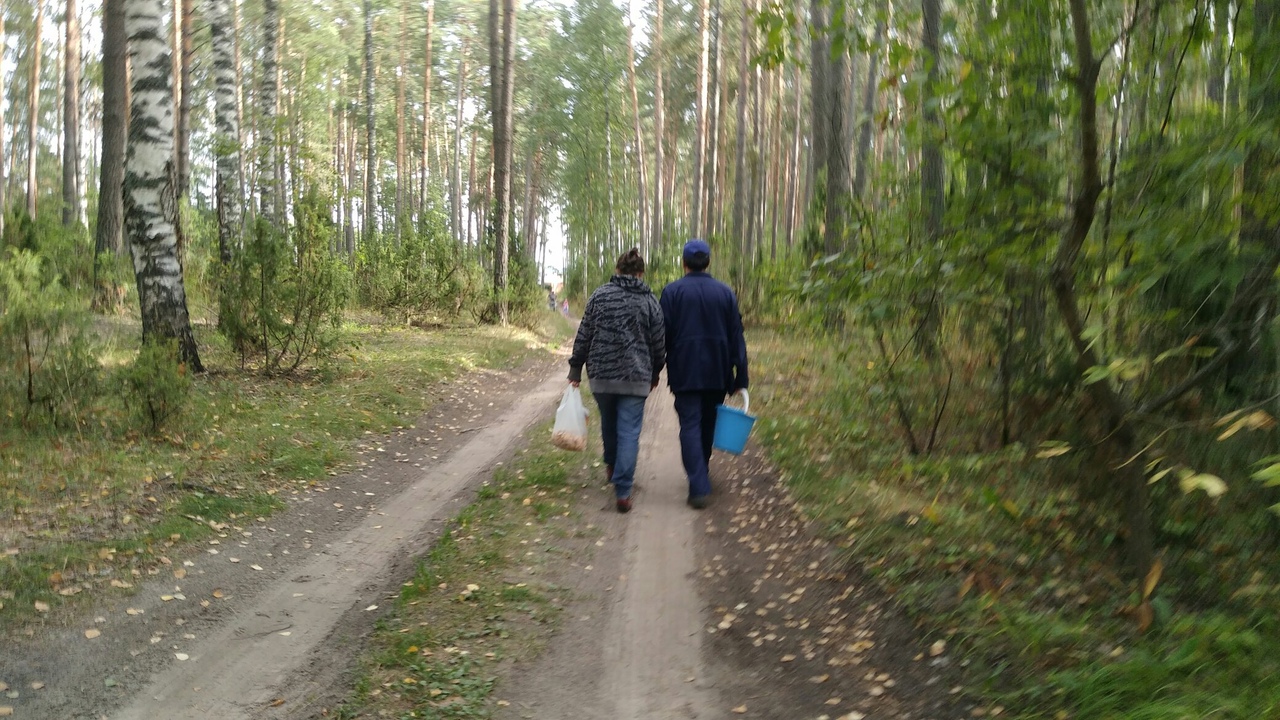 Власти назвали смертельно опасное место для грибников под Нижним Новгородом