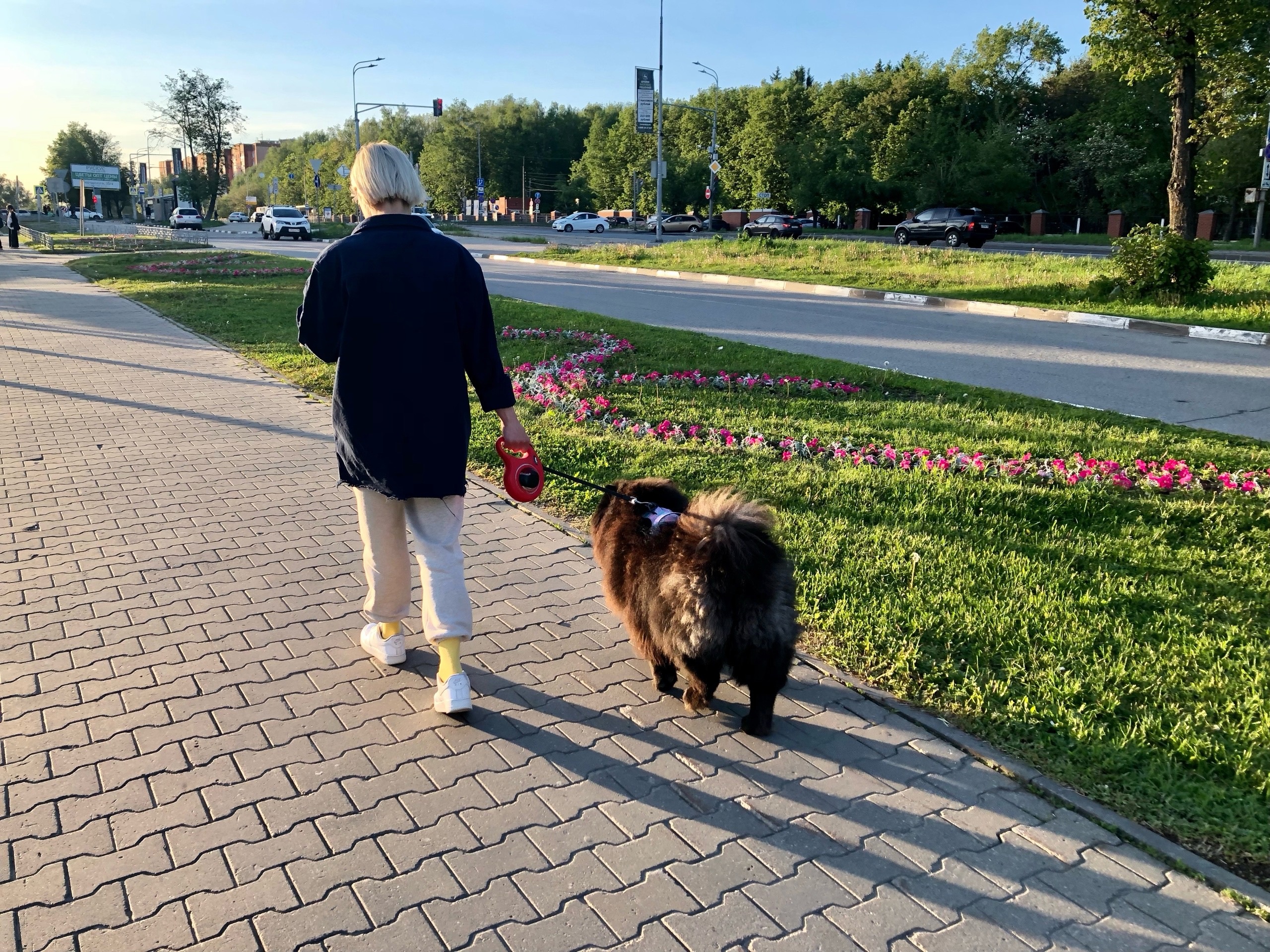 +25 и ветер: как пройдет среда в Нижегородской области