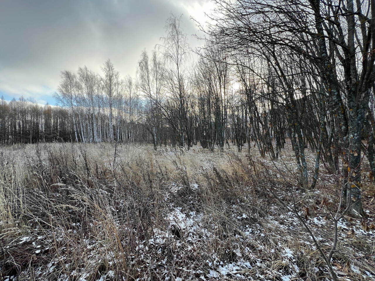 Нижегородцев предупредили о заморозках