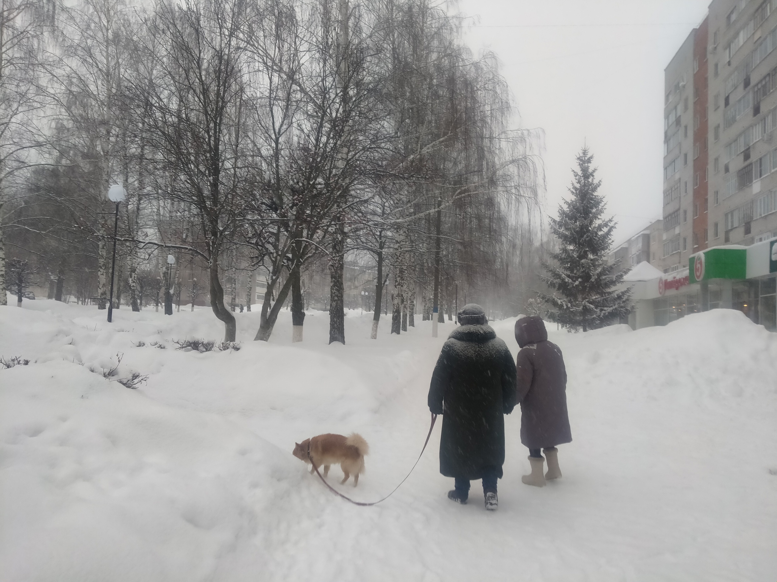 Указ одобрили тихо: пожилых россиян в возрасте от 59 до 83 лет ждут неожиданные новшества с 9 ноября