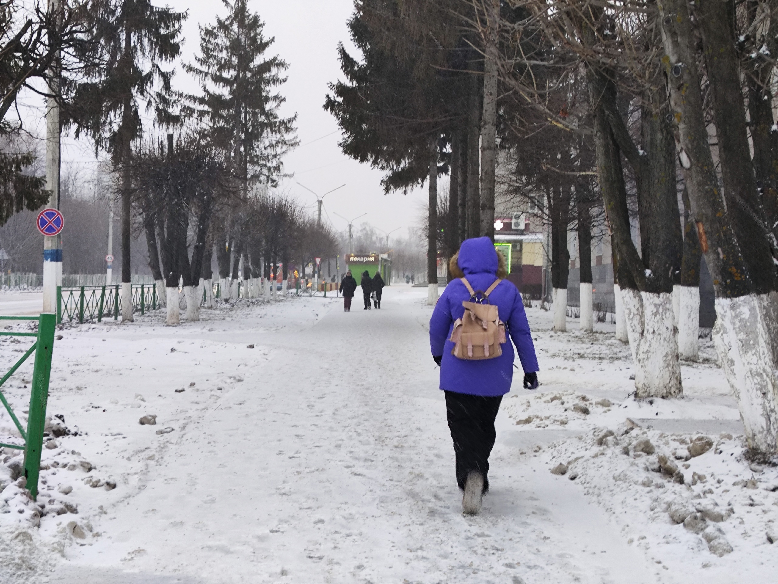 Пойдет все как по маслу: Василиса Володина обещает невероятную удачу трем знакам с 1 февраля