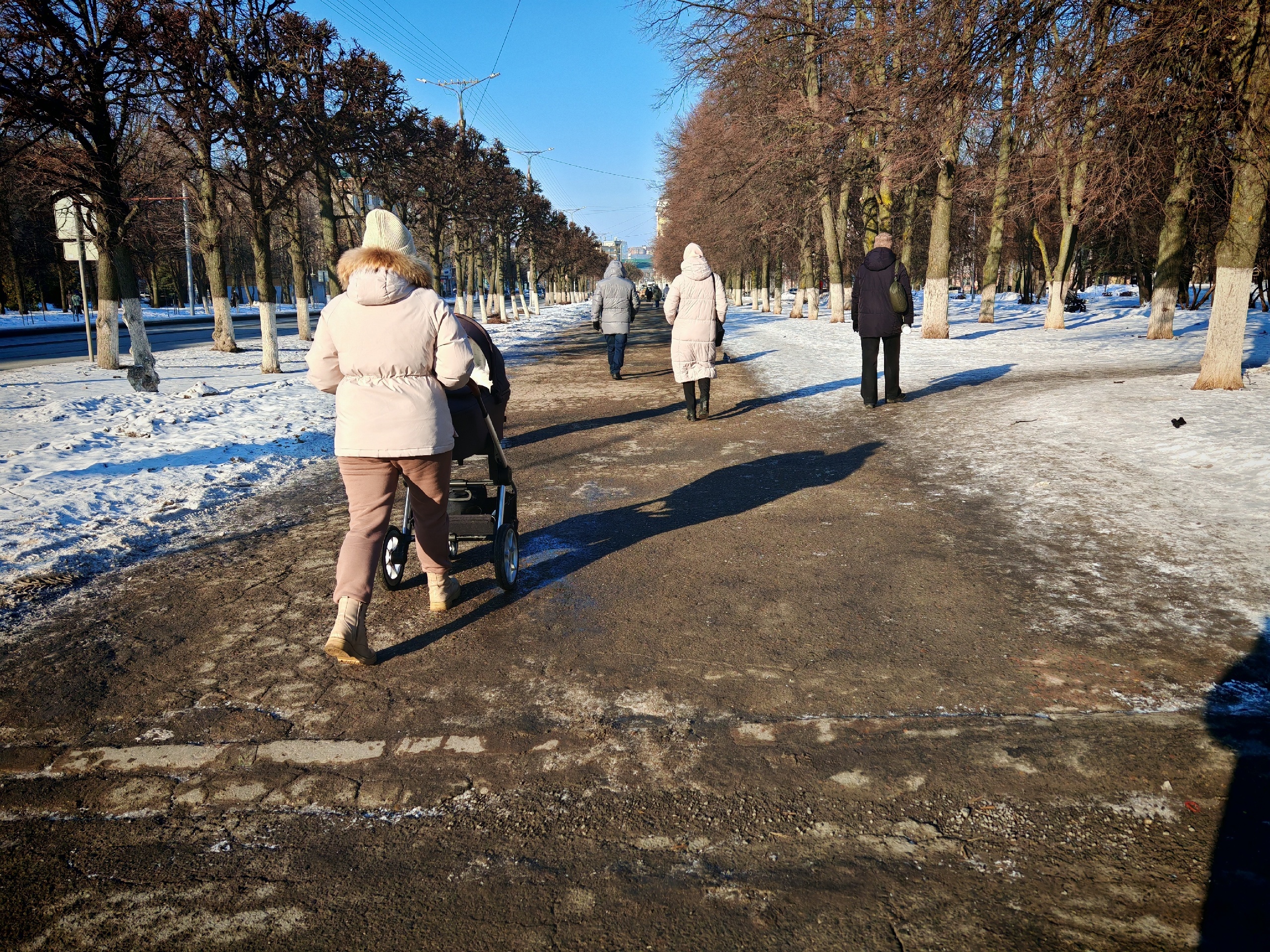 Каким будет лето 2025 после аномально теплой зимы: эксперты рассказали, к чему готовиться садоводам