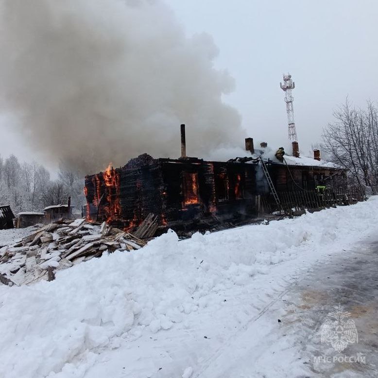 Мужчина погиб на пожаре в Шахунье