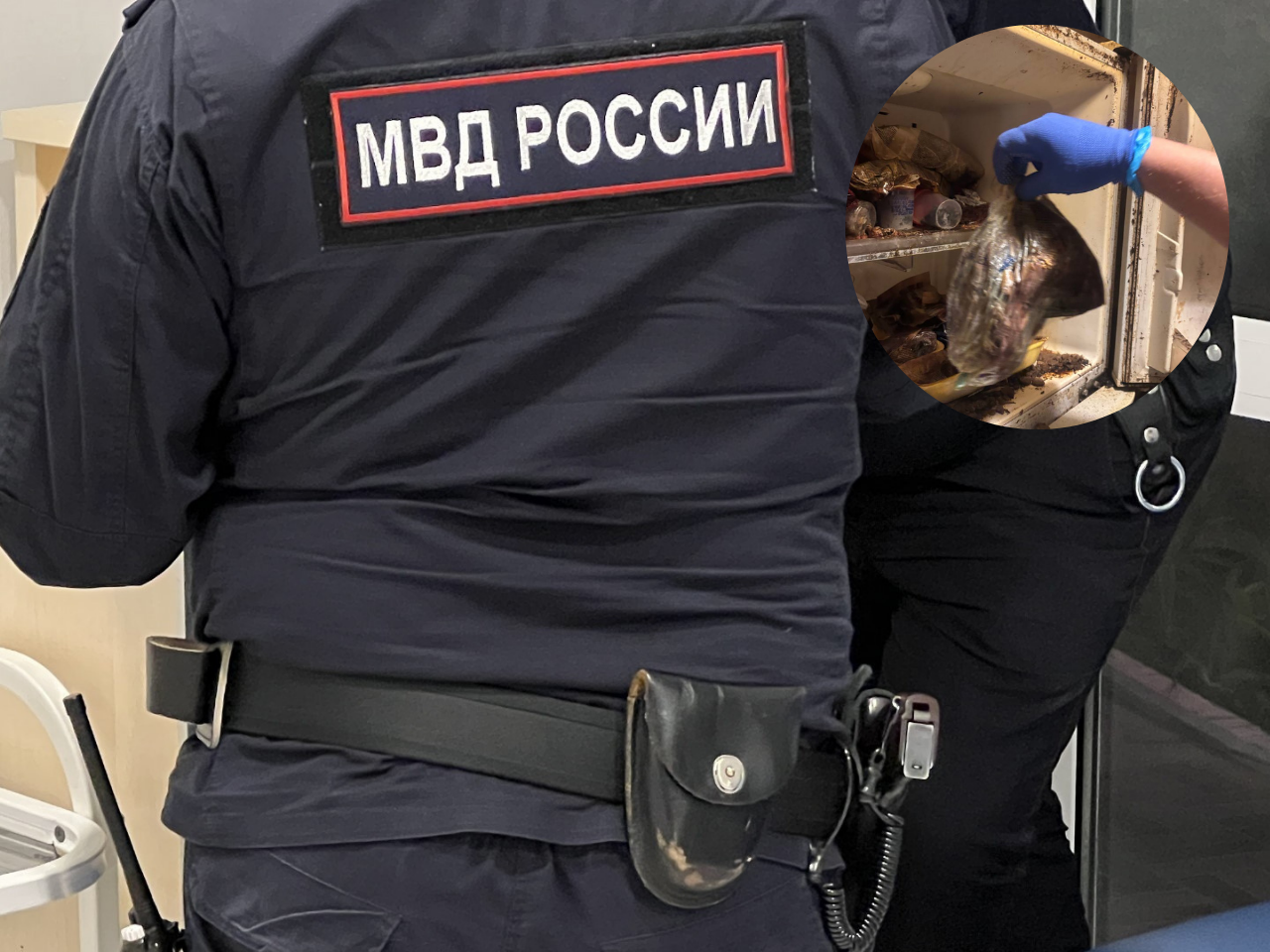 На нижегородца, у которого дома нашли холодильник, полный трупов животных, завели уголовное дело