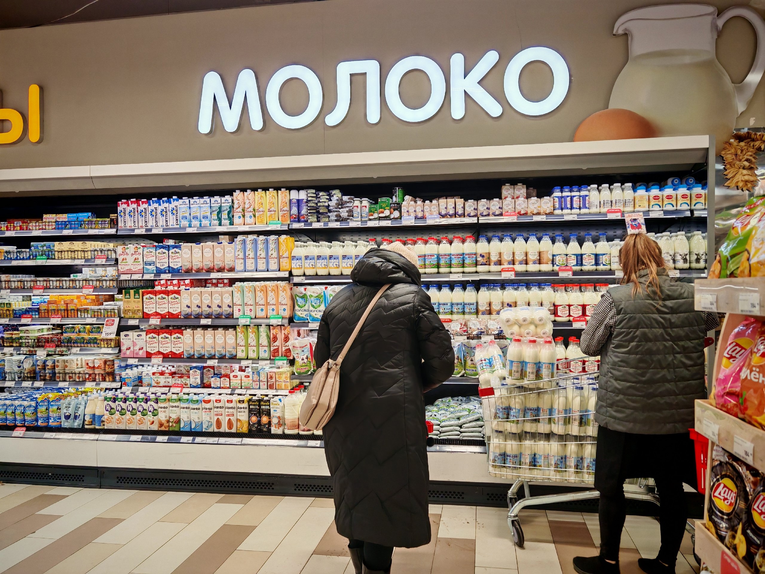 доктор Малышева назвала продукт, который помогает держать давление в норме