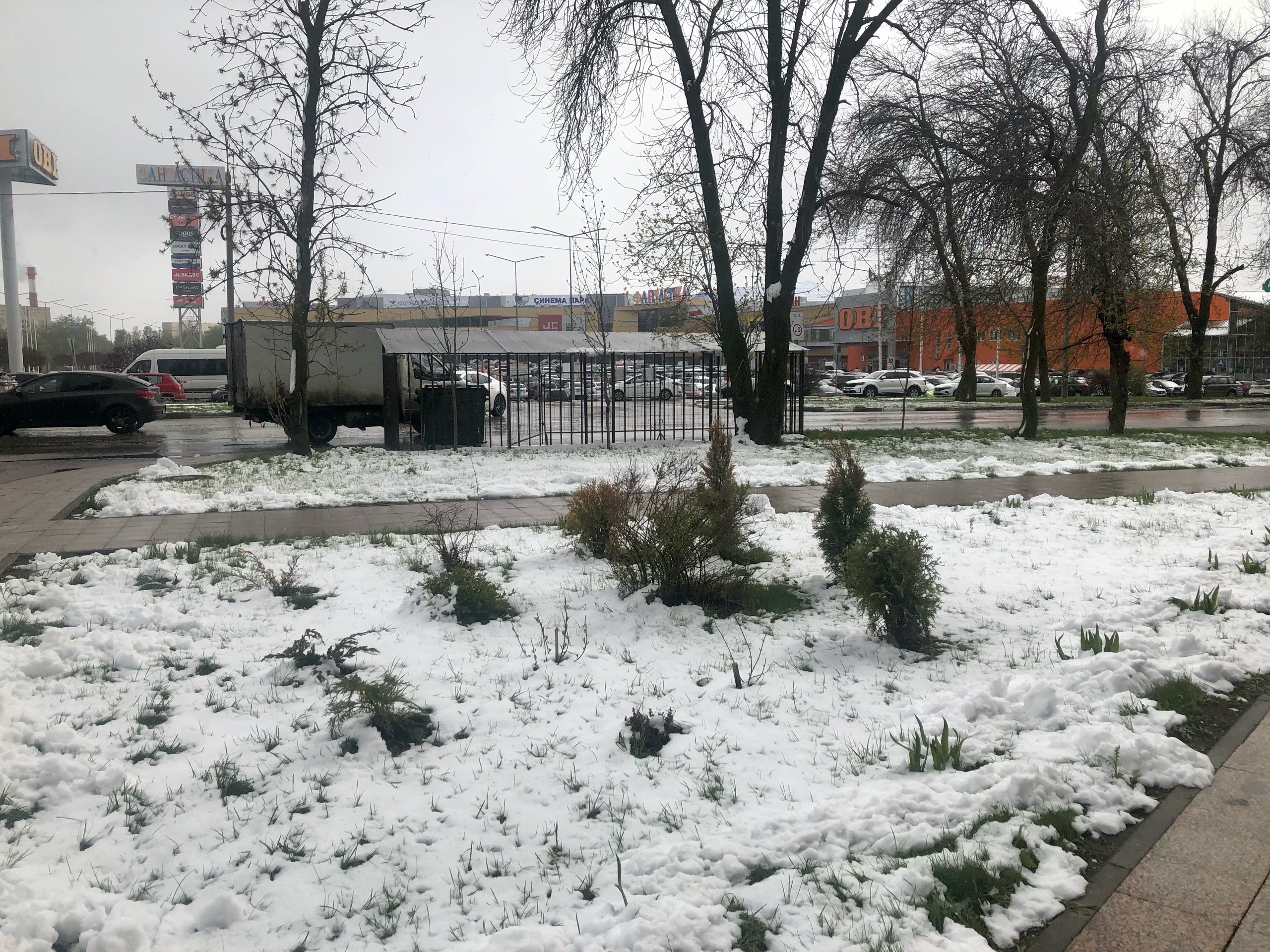 Вильфанд изменил прогноз с 22 мая, нас ждет суровое похолодание