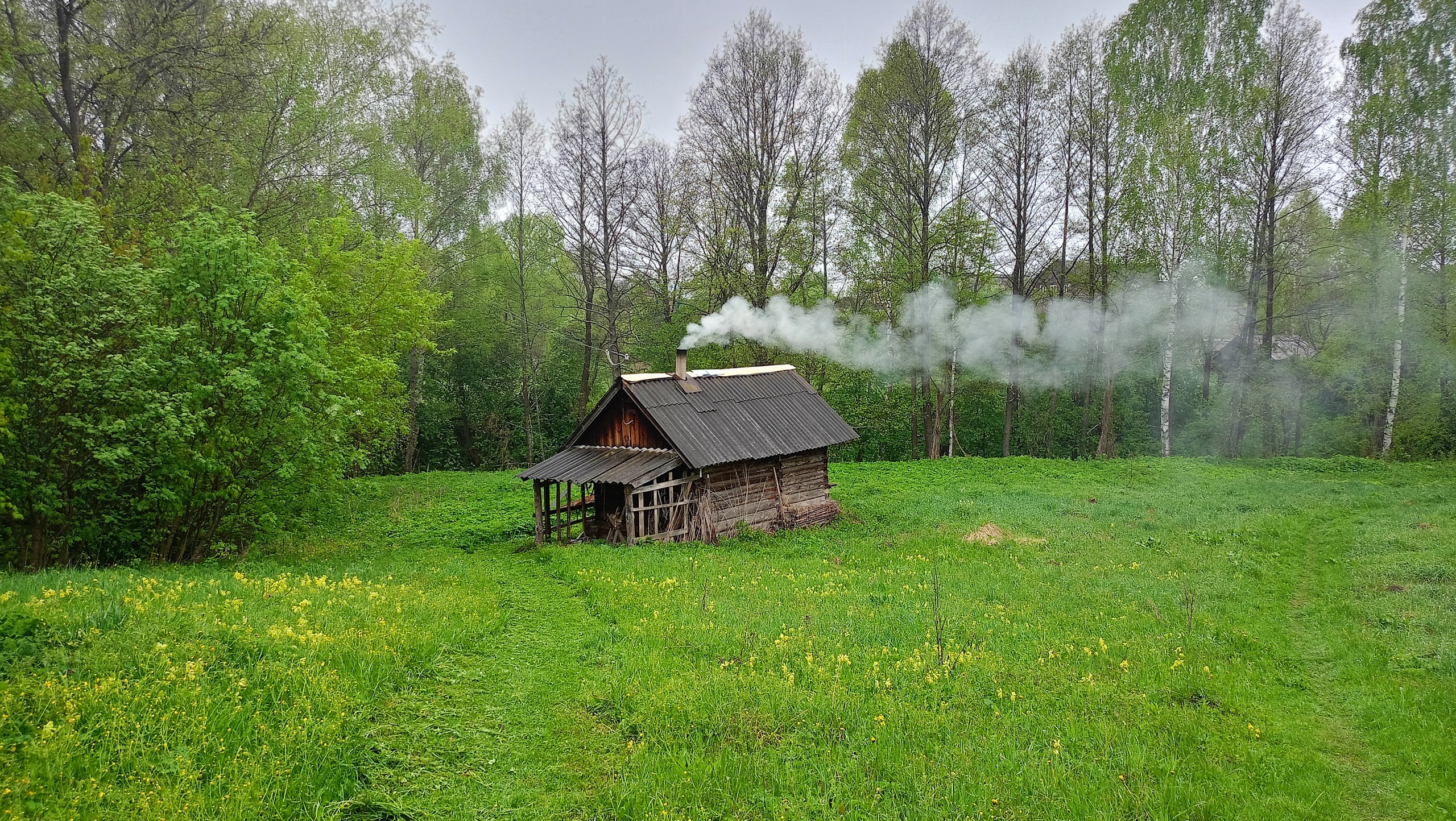 Любителям бани придется "запариться" со штрафами: дачников предупредили о новых правилах Росреестра