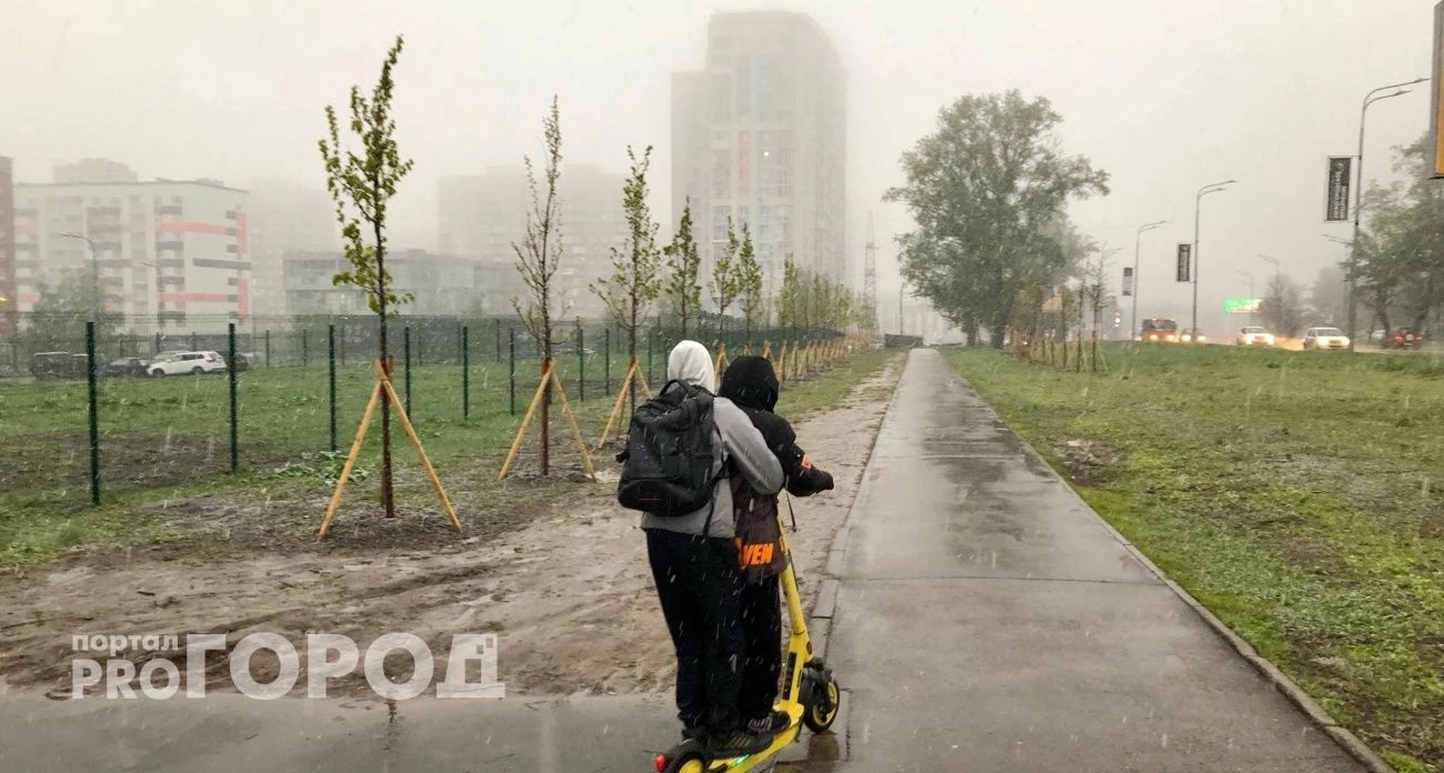 В Нижнем Новгороде электросамокаты сбили 10-летнего велосипедиста и двухлетнего ребенка