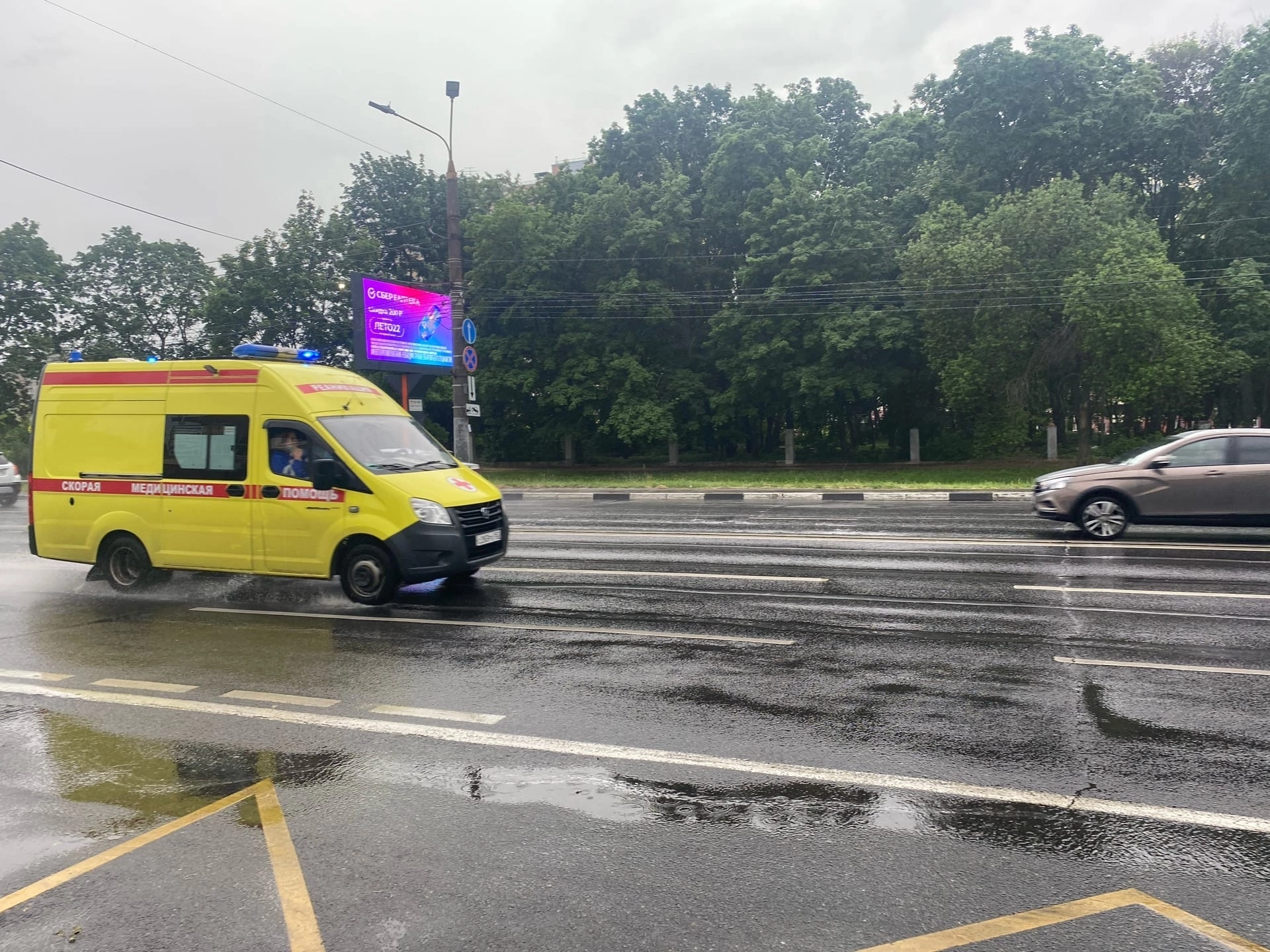 Засохшее дерево убило 62-летнего жителя Нижегородской области 