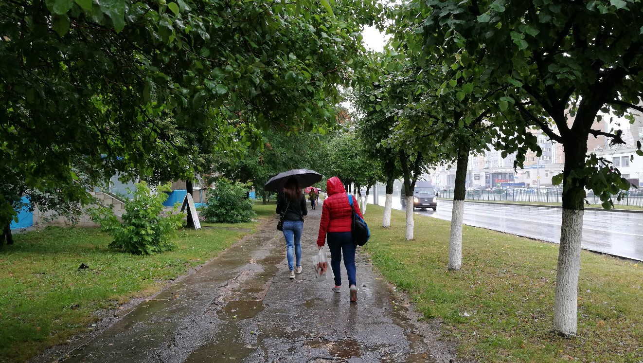 новый прогноз Вильфанда с 13 июня - лета не будет