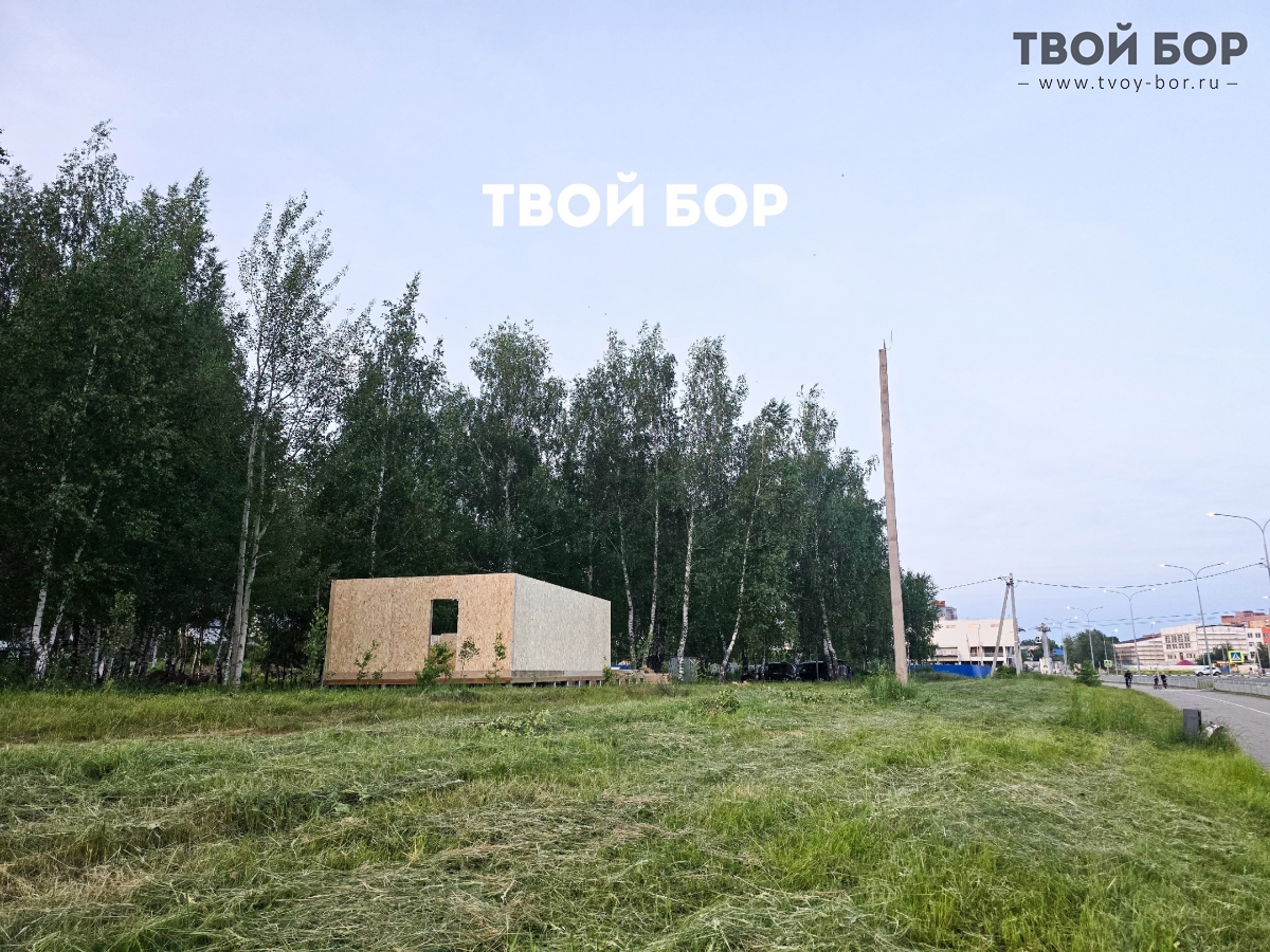 В городе Бор появится парковая зона с масштабными моделями и мастер-классами