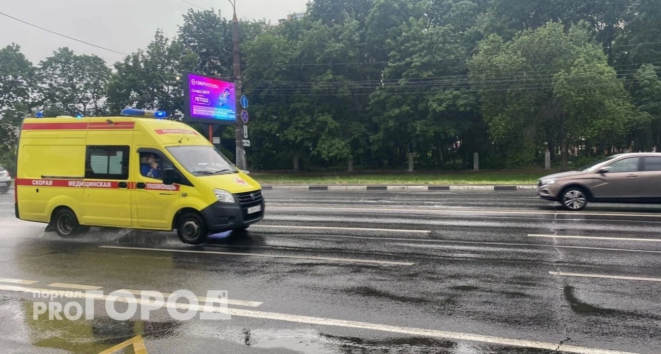 на семью туристов посыпались ветки