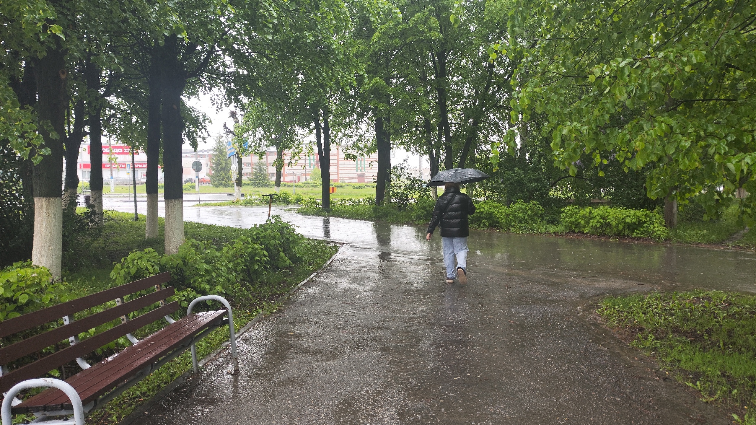 Ливни и похолодание до +8 придут в Нижегородскую область с начала недели