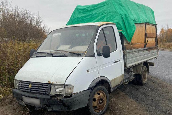Житель Арзамаса стал уголовником, перегнав чужую ГАЗель после спора