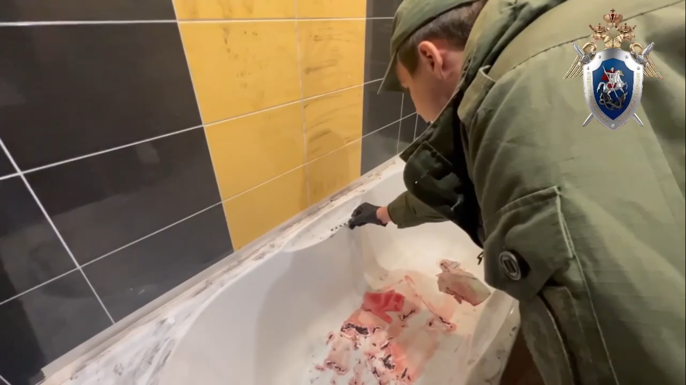 Мужчина, зарезавший двух пенсионеров в Сарове, отправится на принудительное лечение