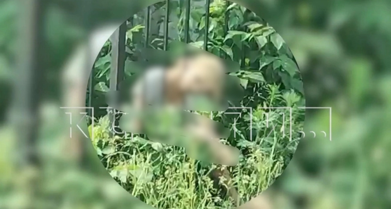 главные новости за 18.06.2025 в Нижнем Новгороде