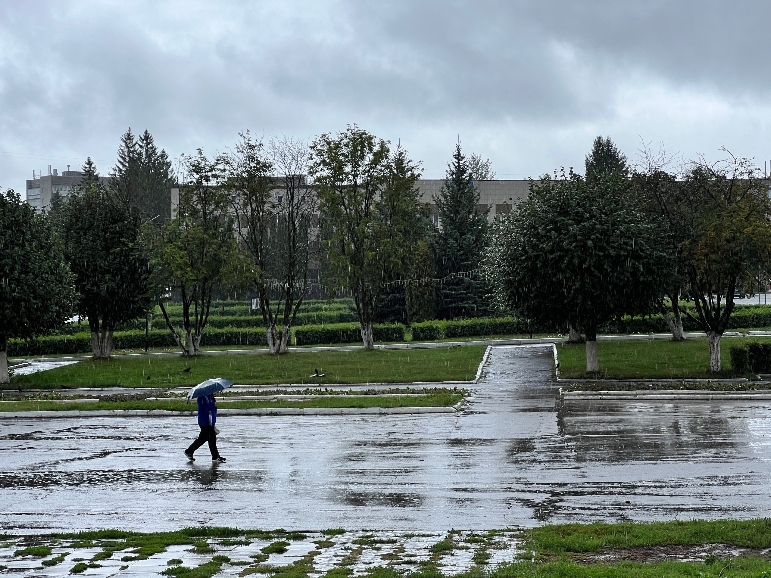 прогноз погоды на завтра