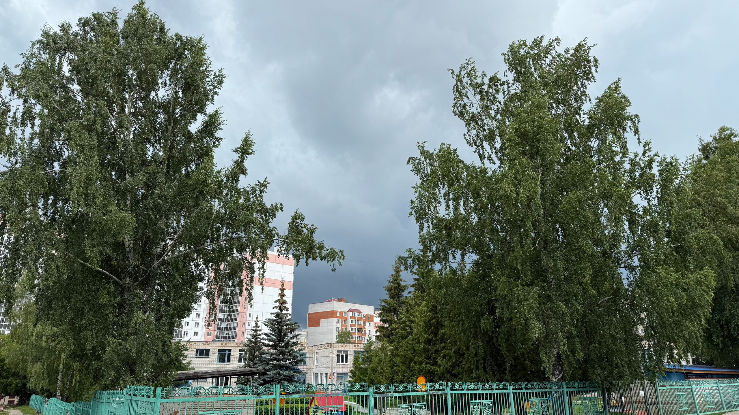 синоптики рассказали о погоде на этой неделе в Центральной России