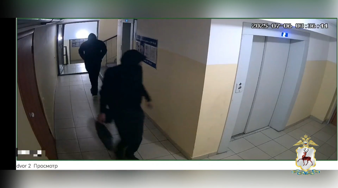 Компания рецидивистов ограбили несколько квартир в Нижнем Новгороде
