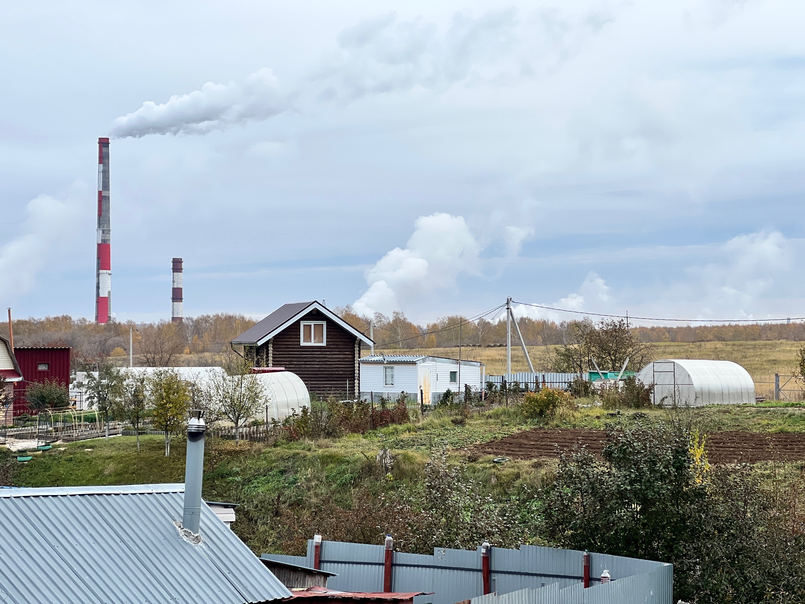 Больше о чистке выгребной ямы не думаем: соседи поделились советом - работает годами
