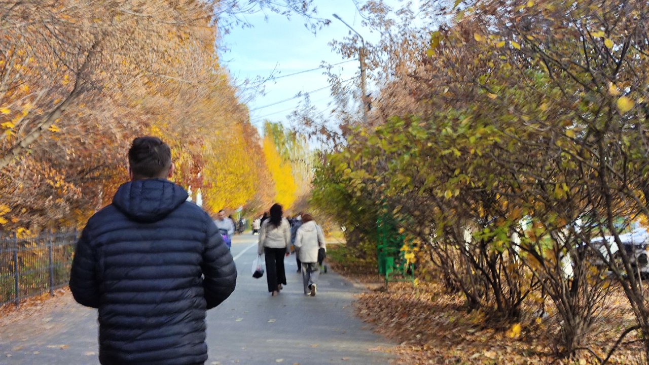 Житель Арзамаса потерял 100 000 рублей, решив купить автозапчасти через интернет 