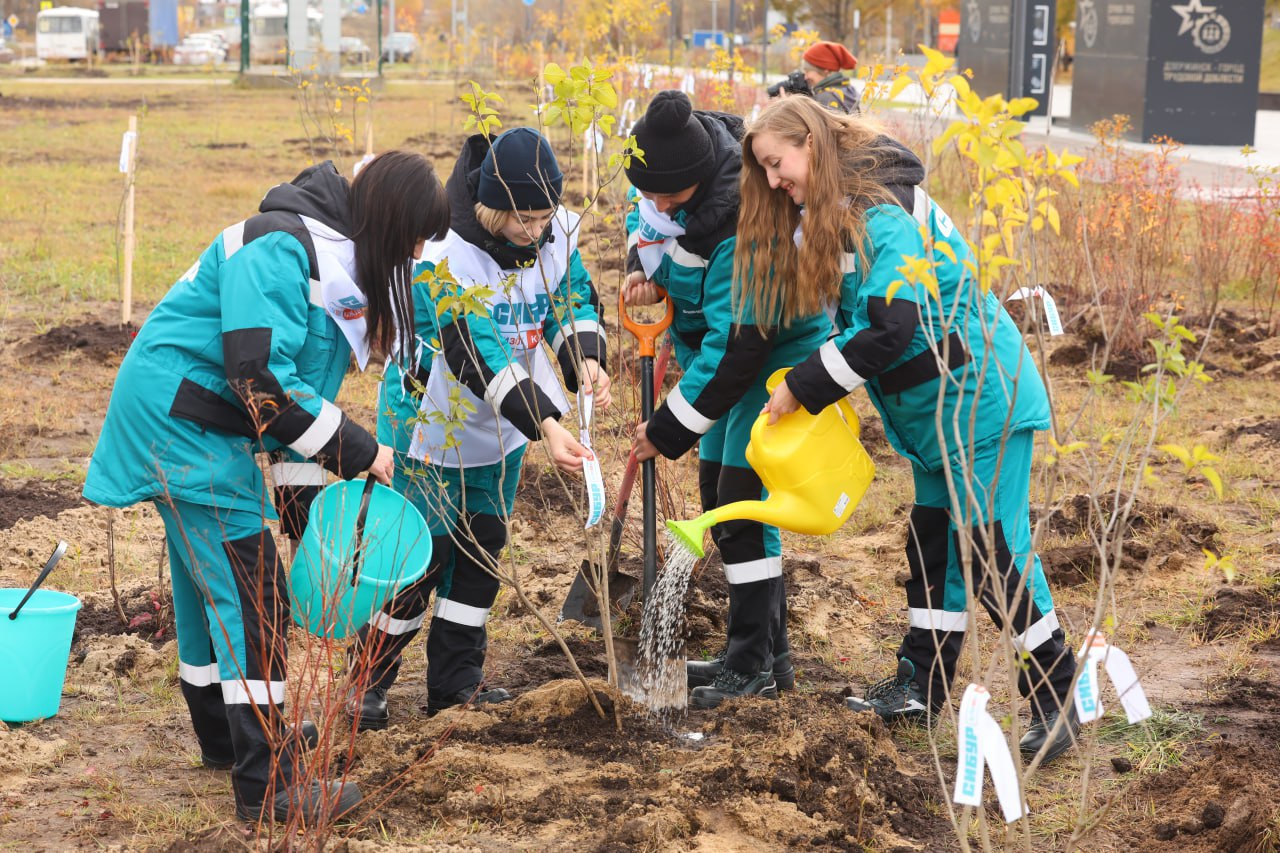 Крупнейший парк сирени во всей Нижегородской области открыли в Дзержинске 