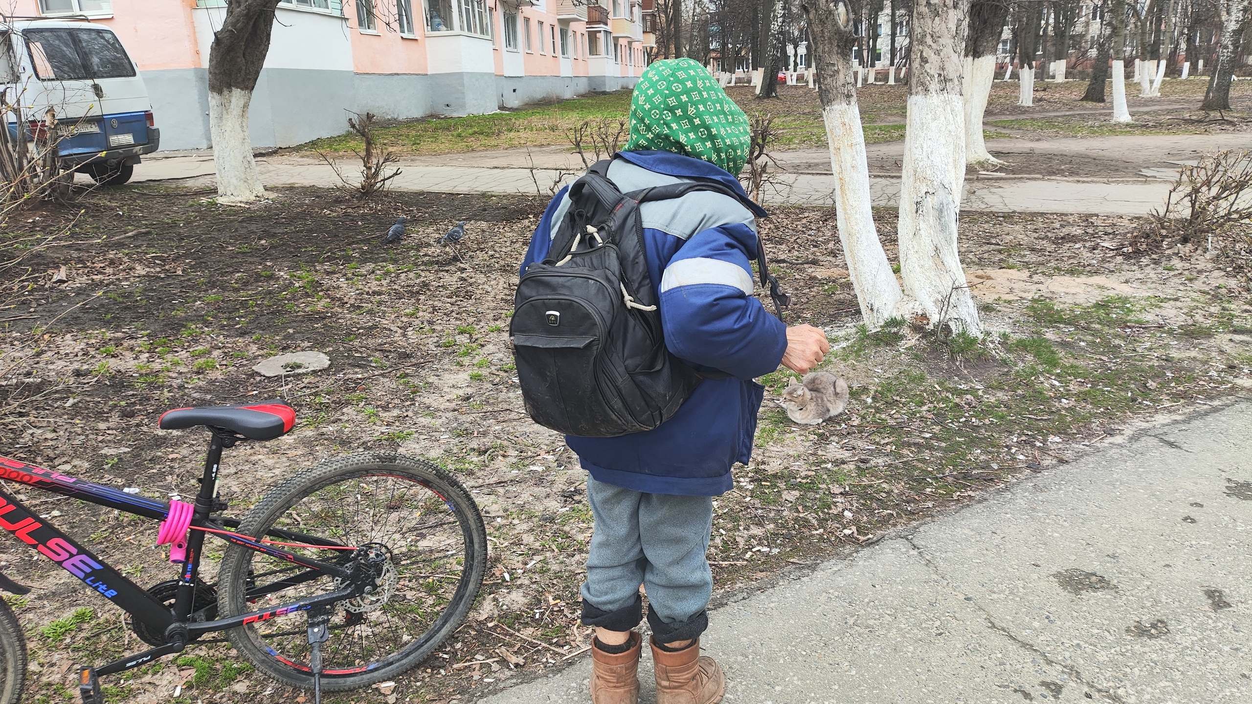 Ученые обнаружили природное средство для защиты памяти: содержится в обычной приправе