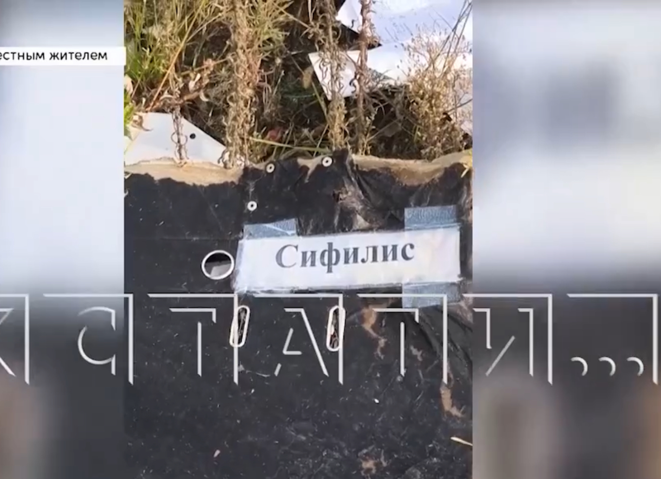 У Мызинского моста в Нижнем Новгороде нашли отходы с результатами тестов на ВИЧ и сифилис