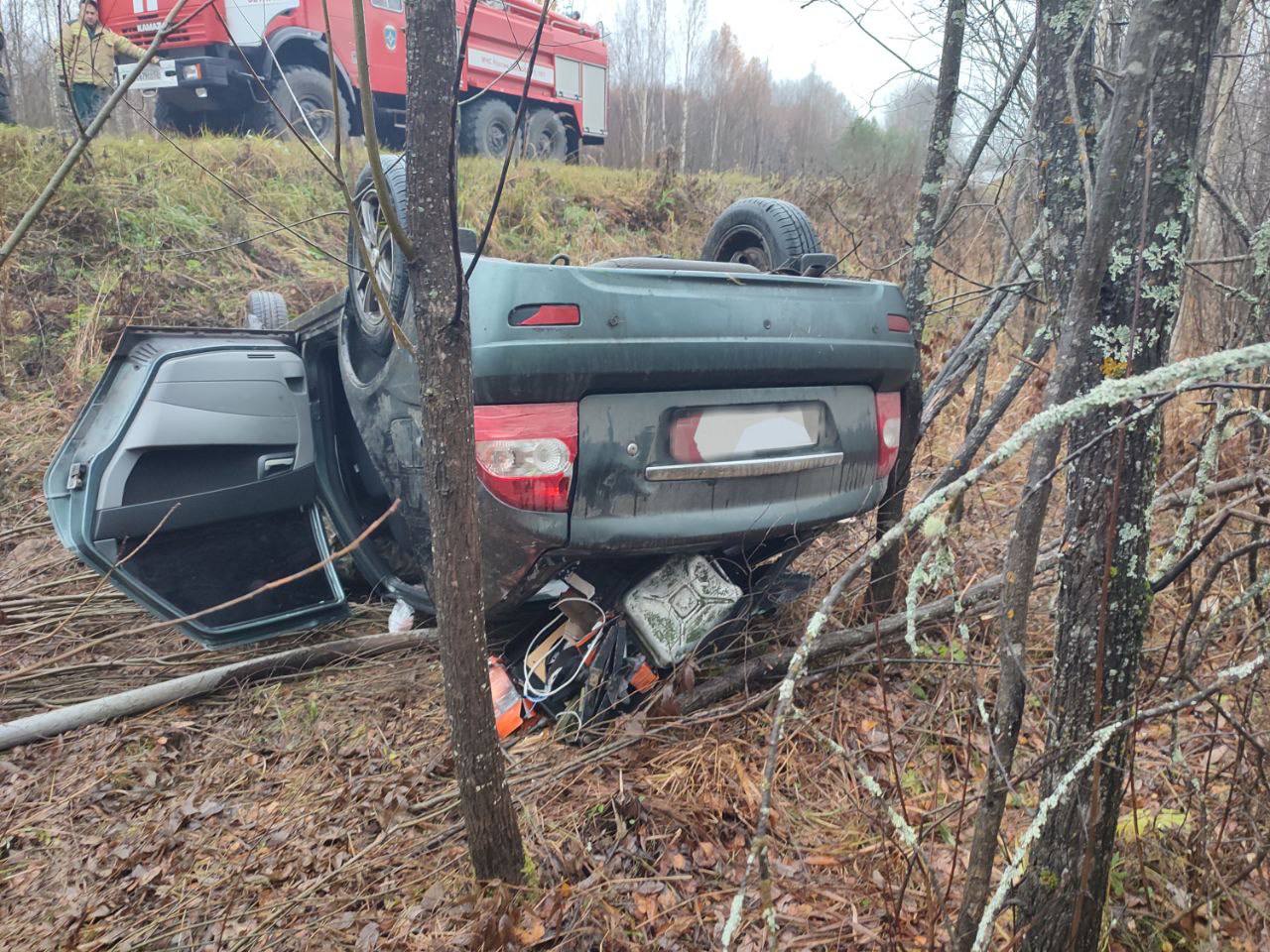 Пьяный водитель Lada погиб в кювете на трассе в Нижегородской области